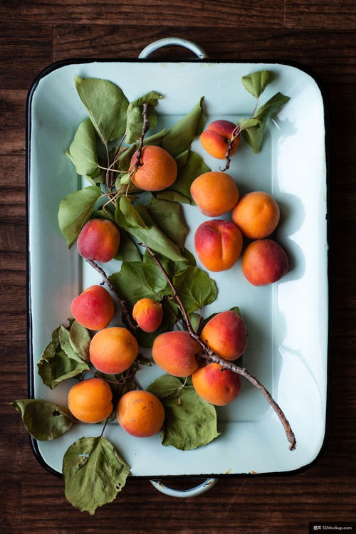 植物 杏 水果 食品 生产 橙色 美食摄影图片